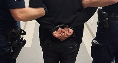 Pijany kierowca wjechał w drzewo, a pasażer był poszukiwany! Podwójny dramat-85332