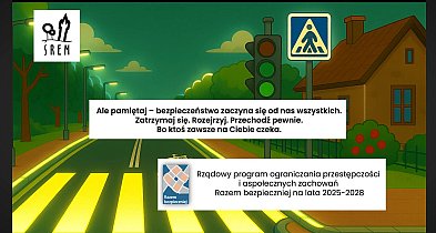 Bezpieczniej na ul. Gostyńskiej. Podsumowanie projektu „Razem bezpieczniej”-85906