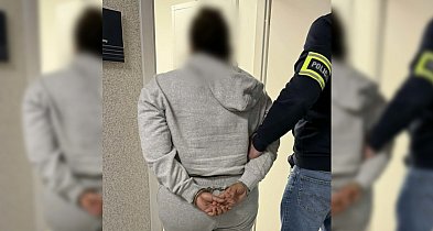 Nielegalny pobyt w Gostyniu. 42-letnia Kolumbijka w rękach policji