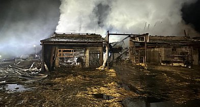 Nocna walka o życie zwierząt w Mościszkach - Przez pożar zginęło 20 byków