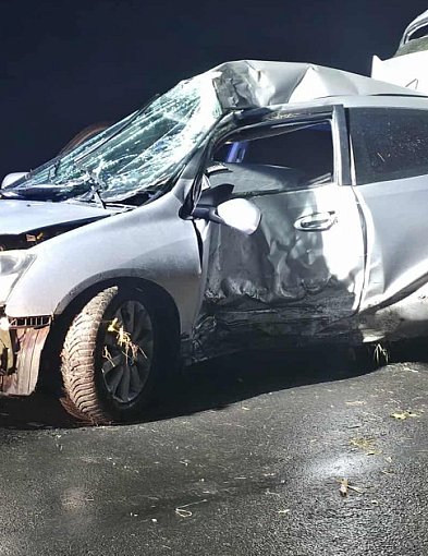 18-latek Hondą uderzył w drzewo. Trafił do szpitala-83589