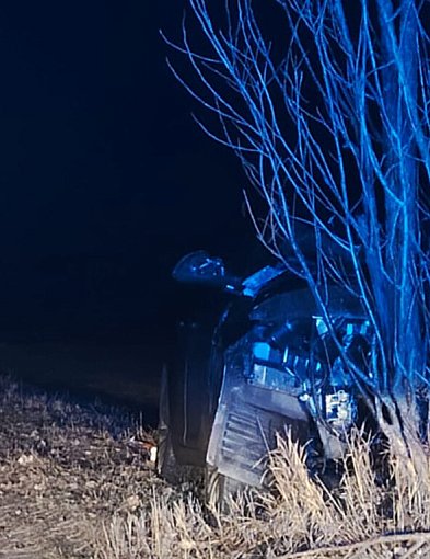 Pijany kierowca uderzył w drzewo - Skrajna nieodpowiedzialność pod Czempiniem-85714