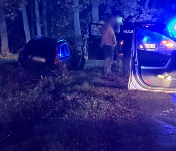 W powiecie gostyńskim miały paść strzały. Trwa policyjna obława-84041