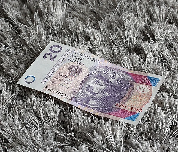 Nowy banknot o nominale 20 zł. Wchodzi do obiegu w tym tygodniu-84154