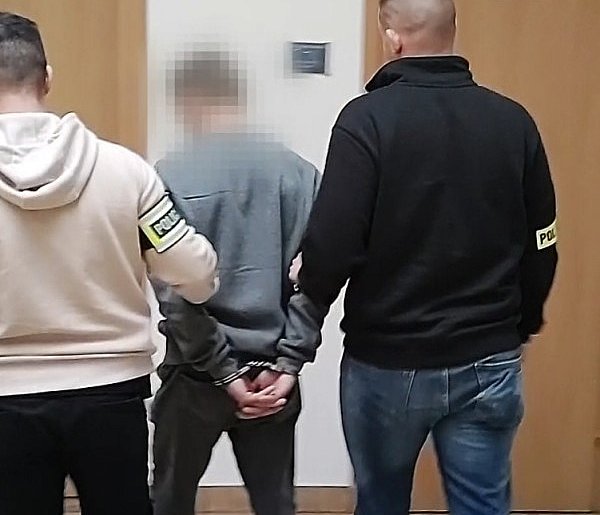 24-letni Śremianin włamał się do garażu. Grozi mu do 10 lat więzienia-84374