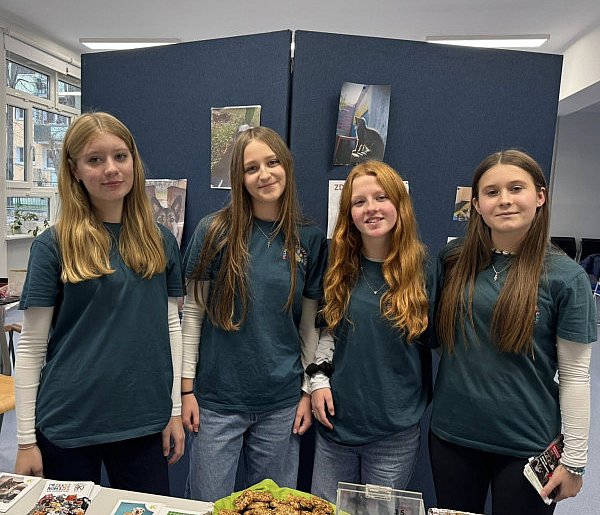 Wielkie serce dla schroniska w Gaju. Społeczność SP4 w charytatywnym działaniu-84699