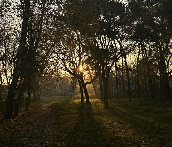 Nadchodzi najkrótszy dzień w 2025 roku. Sprawdź, kiedy przypadnie-85536