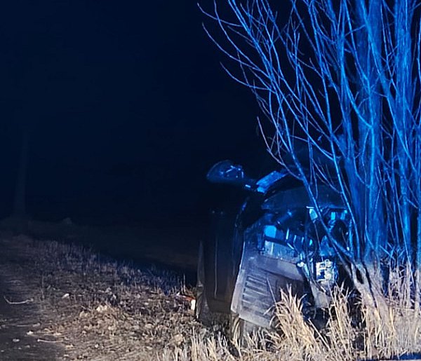 Pijany kierowca uderzył w drzewo - Skrajna nieodpowiedzialność pod Czempiniem-85714