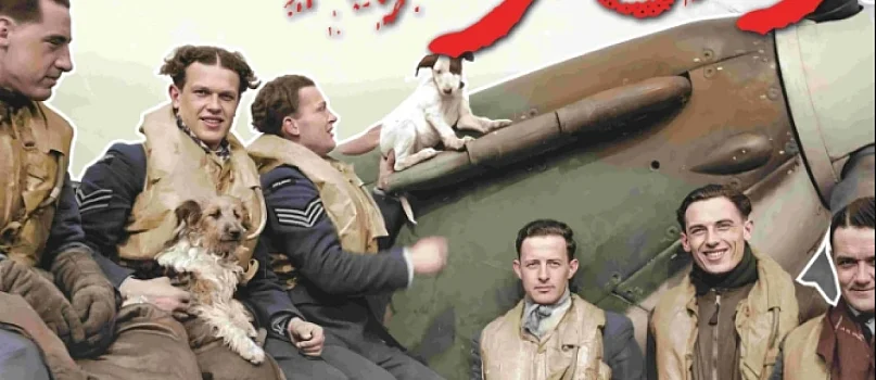 Historia Dywizjonu 303-1331