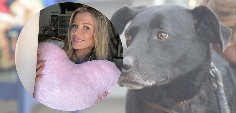 Wielkie serce w mroźne dni. Joanna Krupa wspiera schronisko w Gaju