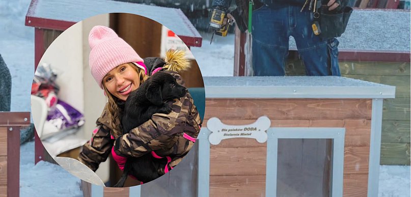 Doda z wyjątkowym prezentem dla Schroniska w Gaju. 25 nowych bud dla czworonogów!