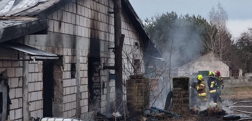 Pożar pieczarkarni w  gminie Dolsk – w akcji udział brało 13 zastępów straży