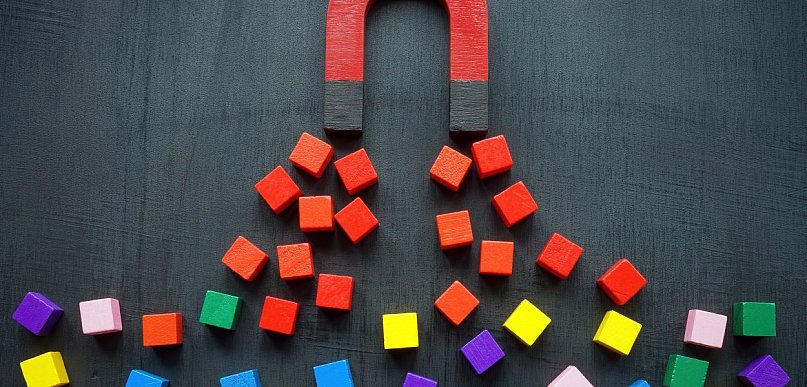 Jak wybrać sklep z magnesami — poradnik zakupowy