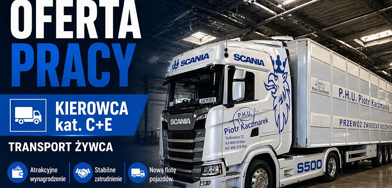 Kierowca C+E - transport żywca. Atrakcyjne wynagrodzenie!