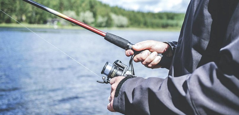 Pellet na ryby – dlaczego cieszy się tak dużą popularnością w Śremie?