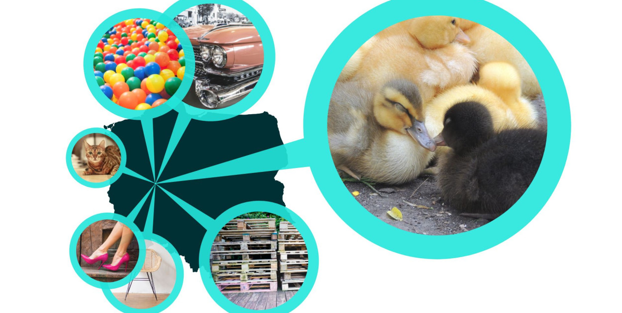 Śremskie ogłoszenia na OLX