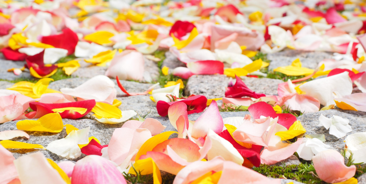 Harmonogram mszy i procesji Bożego Ciała w Gminie Śrem.