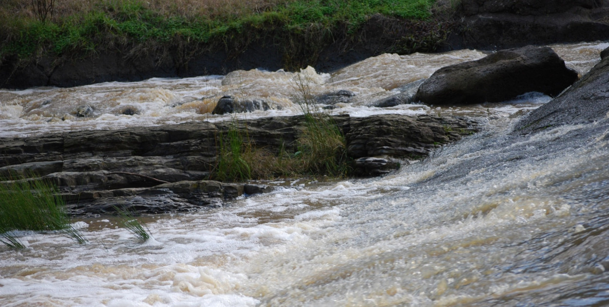Powiat śremski znajduje się w strefie zagrożenia.