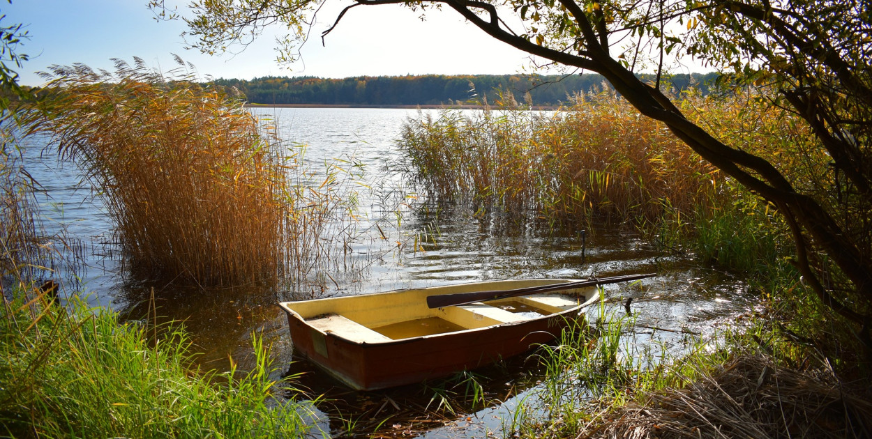 Piękne parki w Wielkopolsce - które odwiedzić?