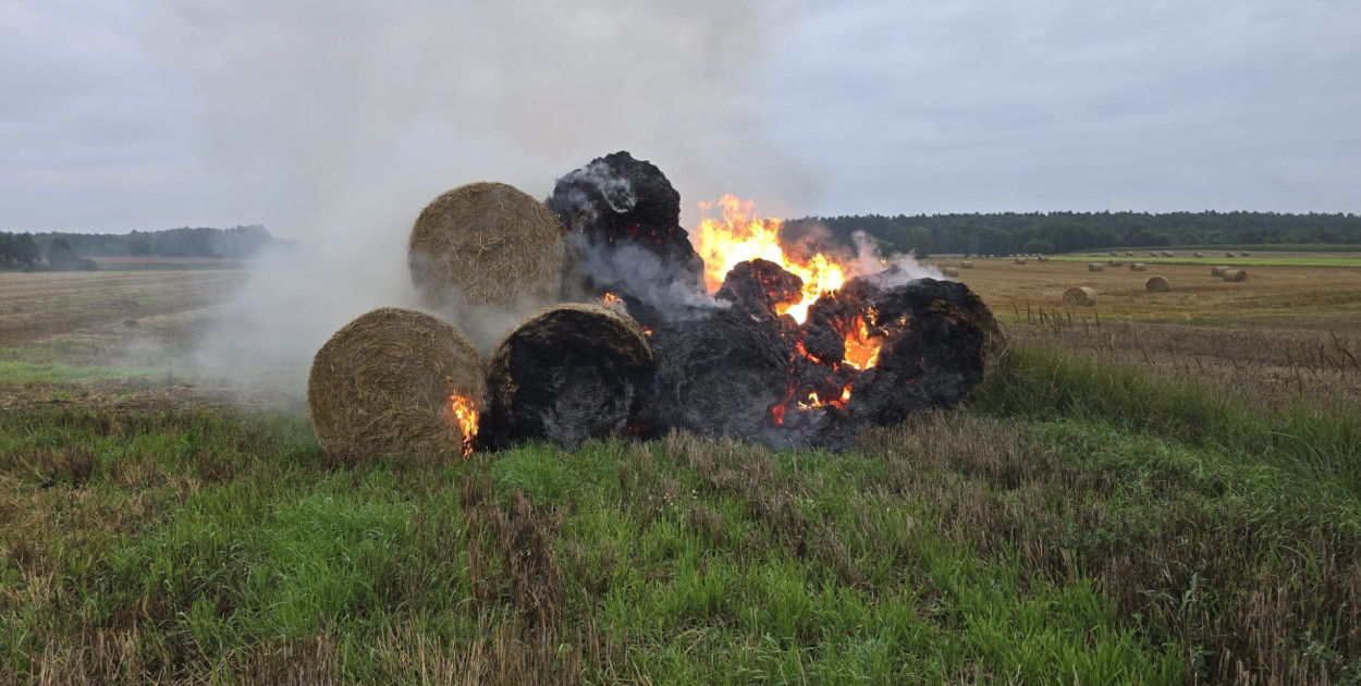 Pożar słomy w Zaborowie. Spaliło się kilkanaście balotów