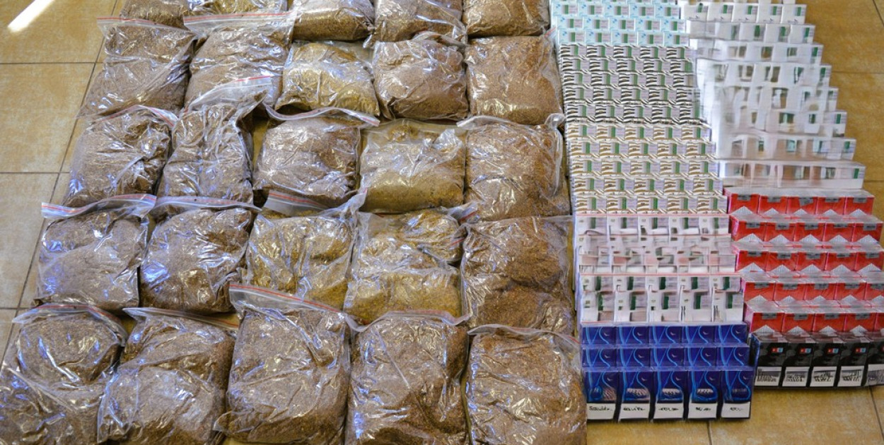 Fot. Maciej Kaniewski 