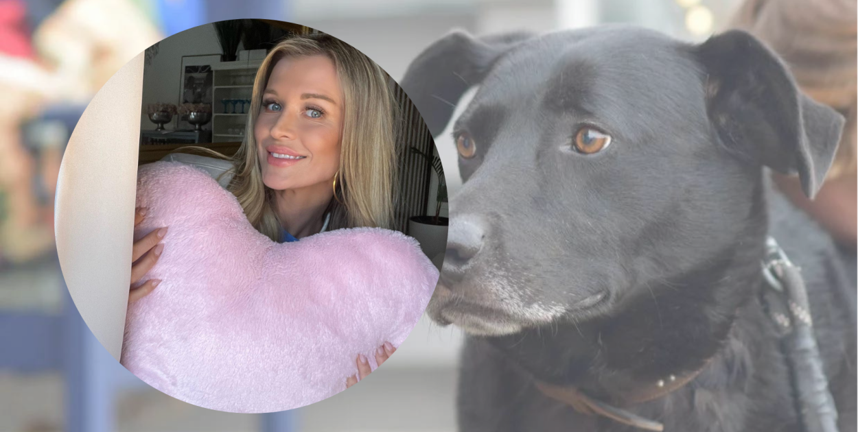 Wielkie serce w mroźne dni. Joanna Krupa wspiera schronisko w Gaju