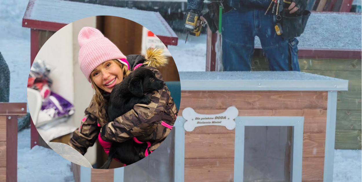 Doda z wyjątkowym prezentem dla Schroniska w Gaju. 25 nowych bud dla czworonogów!