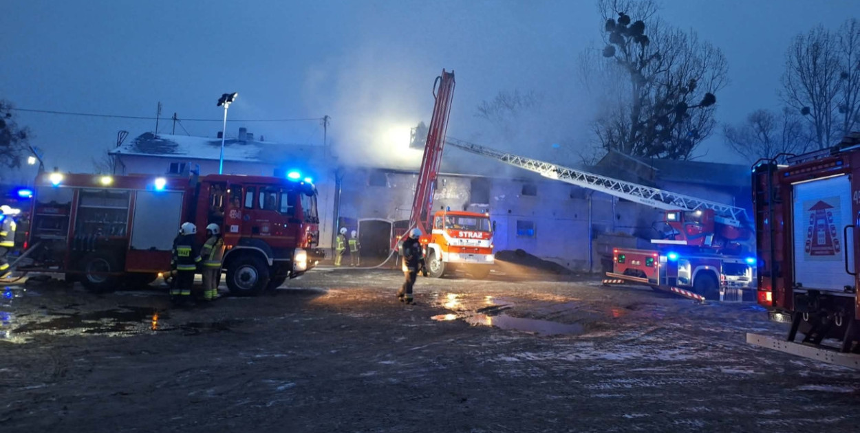 Płonął budynek inwentarski! Ewakuowano kilkadziesiąt zwierząt