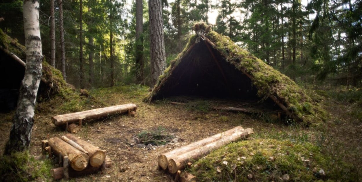 Obozy survivalowe dla dzieci, czego uczą i dla kogo są dobrym wyborem